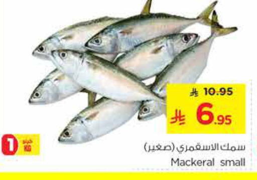 available at Nesto in KSA, Saudi Arabia, Saudi - Riyadh