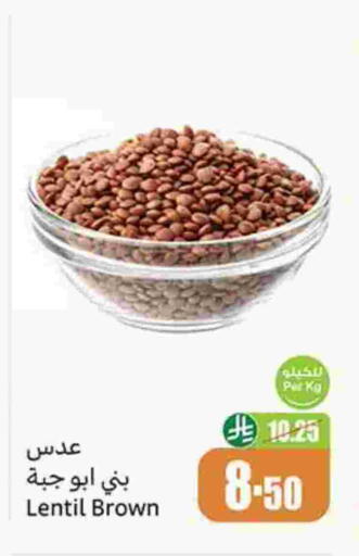 available at Othaim Markets in KSA, Saudi Arabia, Saudi - Rafha