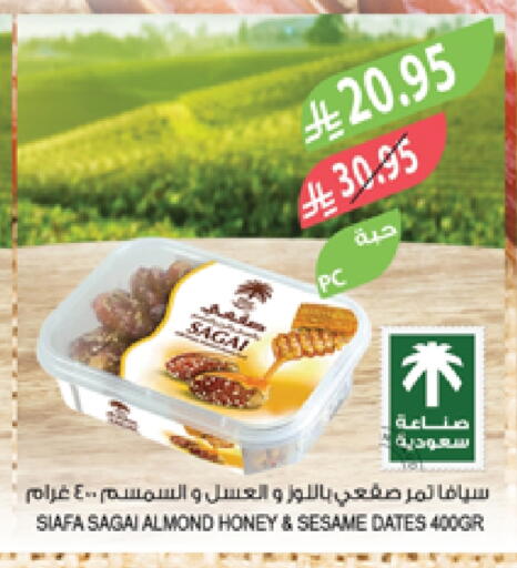 Sesame available at Farm  in KSA, Saudi Arabia, Saudi - Al-Kharj