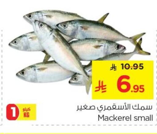 available at Nesto in KSA, Saudi Arabia, Saudi - Riyadh