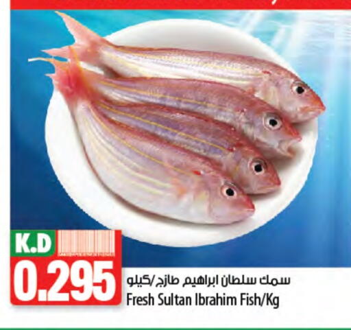 Mango available at Mango Hypermarket  in Kuwait - Kuwait City