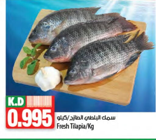 Mango available at Mango Hypermarket  in Kuwait - Kuwait City