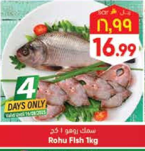 available at ستي فلاور in مملكة العربية السعودية, السعودية, سعودية - حائل‎