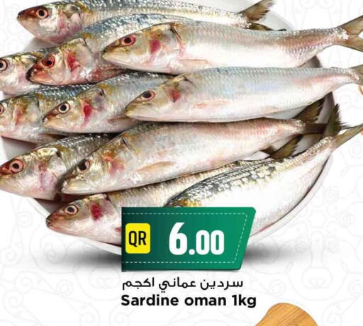 available at Marza Hypermarket in Qatar - Al Wakra