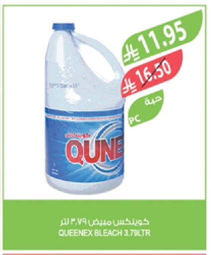 QUEENEX Bleach available at Farm  in KSA, Saudi Arabia, Saudi - Abha