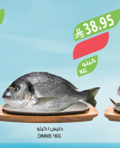 available at المزرعة in مملكة العربية السعودية, السعودية, سعودية - أبها