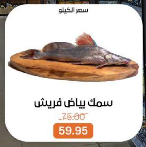 available at Beit El Gomla in Egypt - Cairo