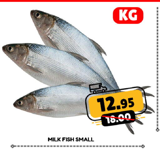 available at ROYAL GULF HYPERMARKET LLC in UAE - Abu Dhabi