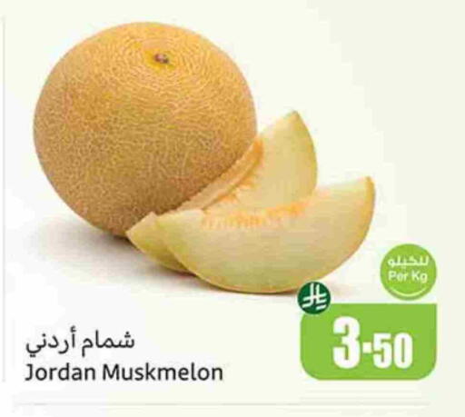 Sweet melon from Jordan available at Othaim Markets in KSA, Saudi Arabia, Saudi - Rafha