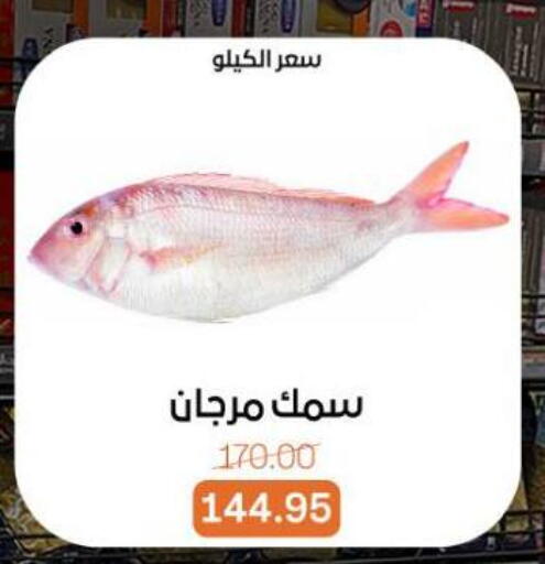 available at Beit El Gomla in Egypt - Cairo