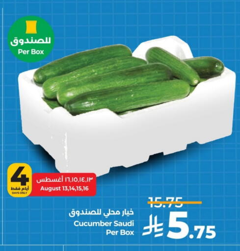 Cucumber from Saudi Arabia available at LULU Hypermarket in KSA, Saudi Arabia, Saudi - Al Khobar