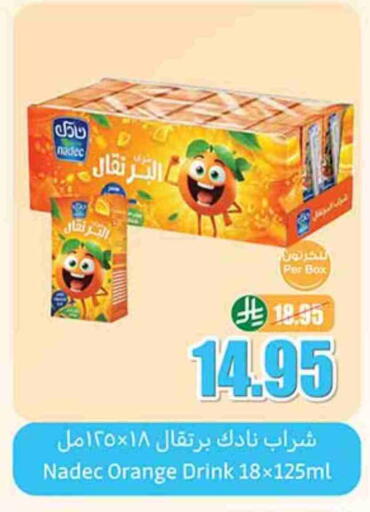 NADEC available at Othaim Markets in KSA, Saudi Arabia, Saudi - Ar Rass