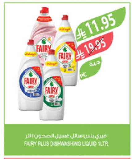 FAIRY available at Farm  in KSA, Saudi Arabia, Saudi - Sakaka