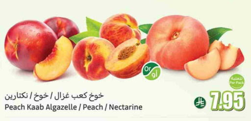 Plums available at Othaim Markets in KSA, Saudi Arabia, Saudi - Rafha
