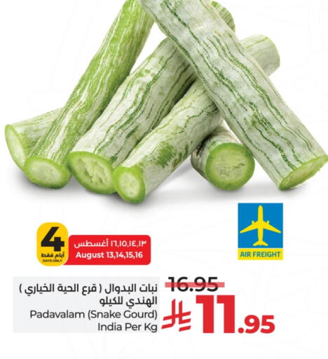 Gourd from India available at LULU Hypermarket in KSA, Saudi Arabia, Saudi - Yanbu