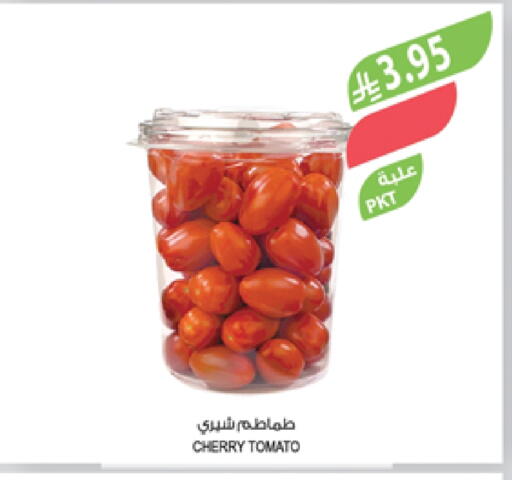 Tomato available at Farm  in KSA, Saudi Arabia, Saudi - Dammam