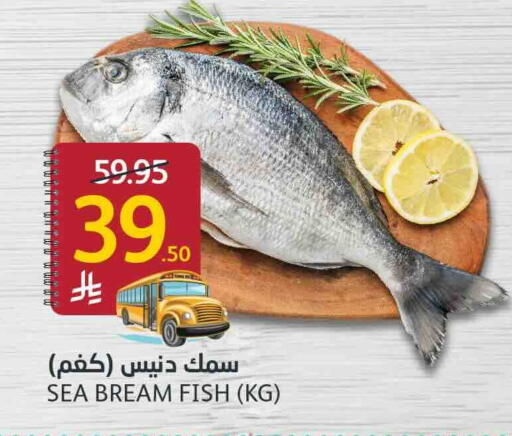 available at AlJazera Shopping Center in KSA, Saudi Arabia, Saudi - Riyadh