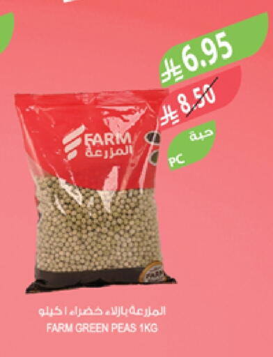Peas available at Farm  in KSA, Saudi Arabia, Saudi - Al Hasa