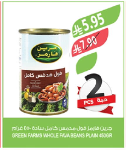Fava Beans available at Farm  in KSA, Saudi Arabia, Saudi - Al Hasa