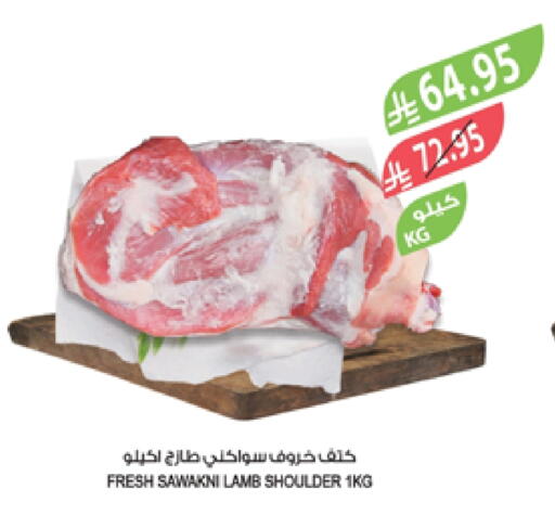Mutton / Lamb available at Farm  in KSA, Saudi Arabia, Saudi - Al-Kharj