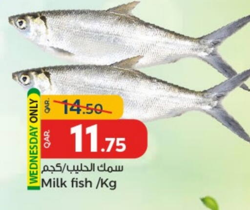 available at باريس هايبرماركت in قطر - أم صلال