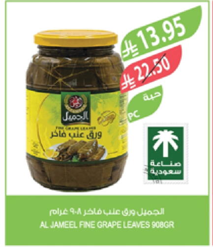 available at Farm  in KSA, Saudi Arabia, Saudi - Yanbu