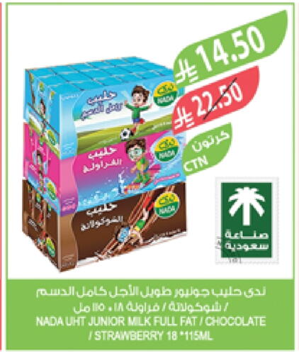 NADA Flavoured Milk available at Farm  in KSA, Saudi Arabia, Saudi - Khafji