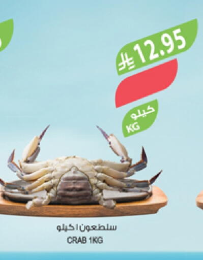 available at المزرعة in مملكة العربية السعودية, السعودية, سعودية - أبها