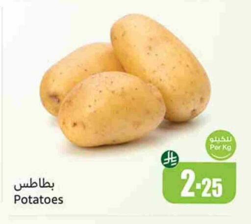 Potato available at Othaim Markets in KSA, Saudi Arabia, Saudi - Saihat