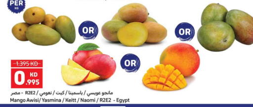 Mango Mangoes from Egypt available at Carrefour in Kuwait - Kuwait City