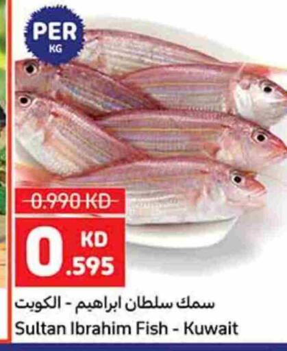 available at كارفور in الكويت - محافظة الجهراء
