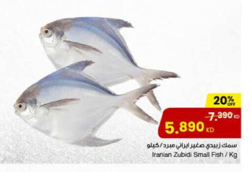 available at مركز سلطان in الكويت - محافظة الجهراء
