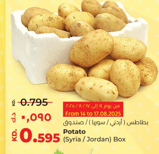 Potato from Syria Jordan available at Lulu Hypermarket  in Kuwait - Kuwait City