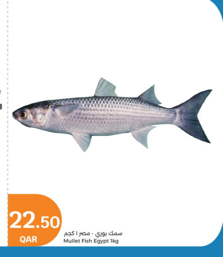 available at سيتي هايبرماركت in قطر - أم صلال