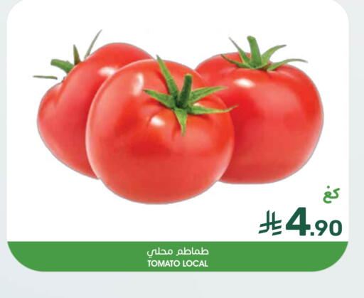 Tomato available at Mazaya in KSA, Saudi Arabia, Saudi - Dammam