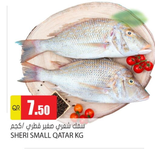 available at جراند هايبرماركت in قطر - أم صلال