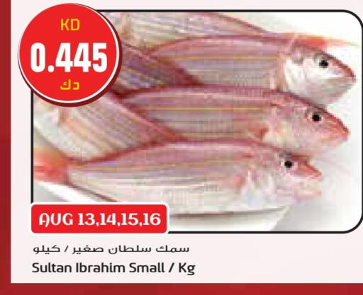 available at Grand Hyper in Kuwait - Kuwait City
