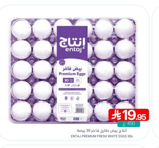 available at Muntazah Markets in KSA, Saudi Arabia, Saudi - Dammam