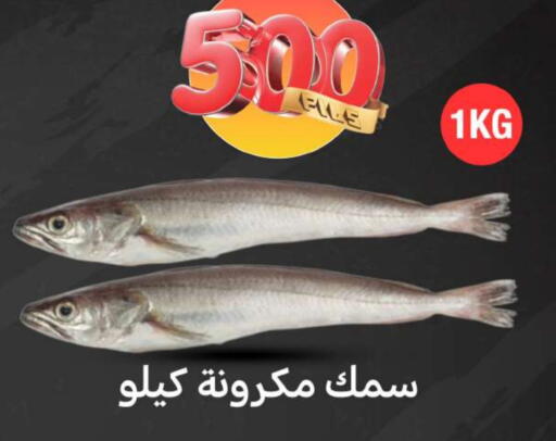 available at شركة سوق ميم المركزي  in الكويت - محافظة الجهراء
