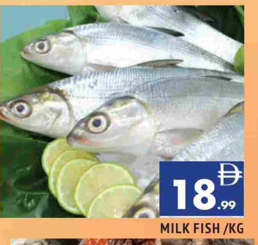 available at المدينة in الإمارات العربية المتحدة , الامارات - الشارقة / عجمان
