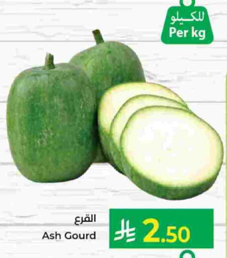 Gourd available at Kabayan Hypermarket in KSA, Saudi Arabia, Saudi - Yanbu