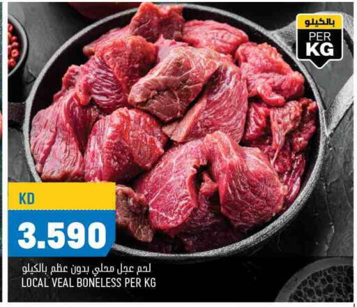available at أونكوست in الكويت - محافظة الجهراء