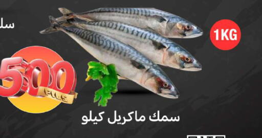 available at شركة سوق ميم المركزي  in الكويت - محافظة الجهراء