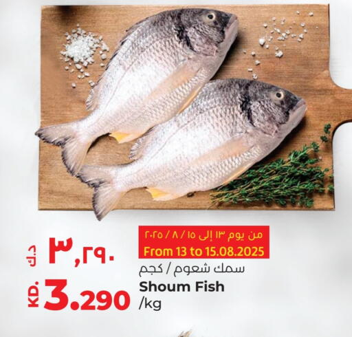 available at لولو هايبر ماركت in الكويت - محافظة الجهراء