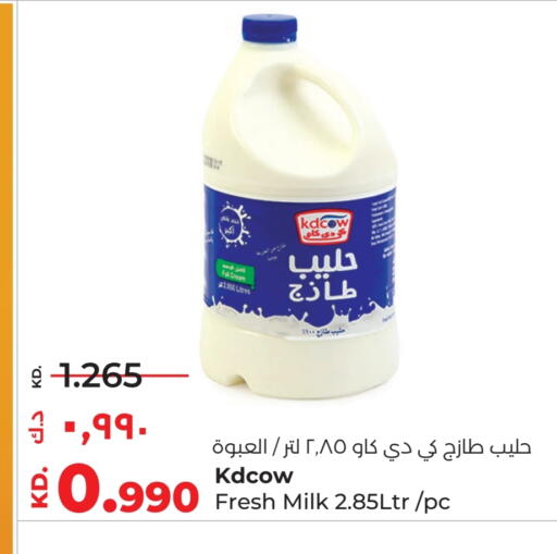 KD COW available at Lulu Hypermarket  in Kuwait - Jahra Governorate