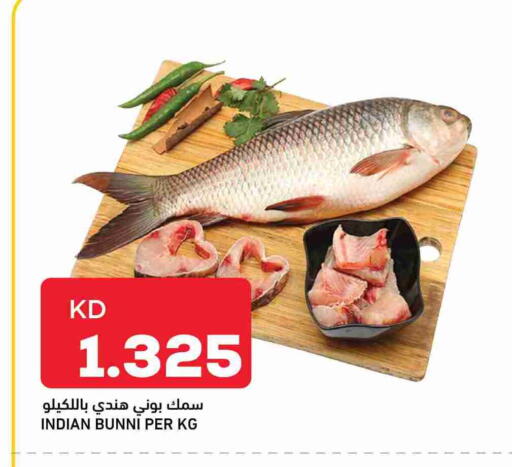 available at أونكوست in الكويت - محافظة الأحمدي