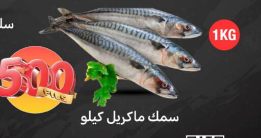 available at شركة سوق ميم المركزي  in الكويت - محافظة الجهراء