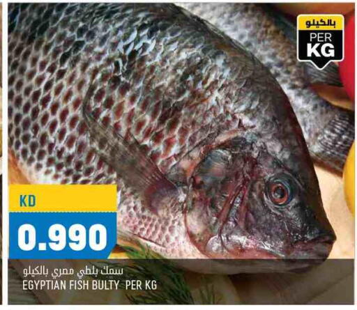 available at أونكوست in الكويت - محافظة الجهراء