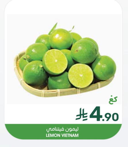 lemon from Vietnam available at Mazaya in KSA, Saudi Arabia, Saudi - Saihat