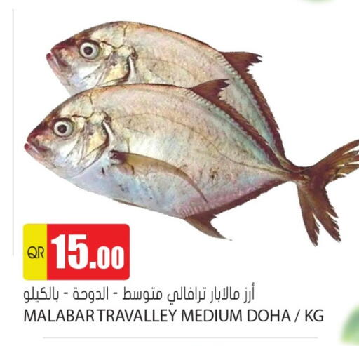 available at جراند هايبرماركت in قطر - الشحانية